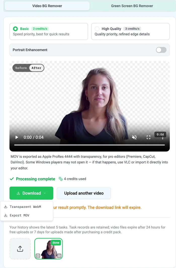 VidBG Remover Download menu showing Transparent WebM and Export MOV