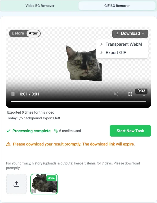 GIF 페이지의 다운로드 옵션: 투명 WebM 또는 GIF 내보내기
